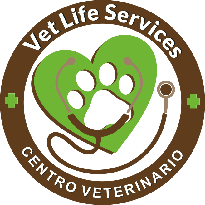 VetLife-avatar